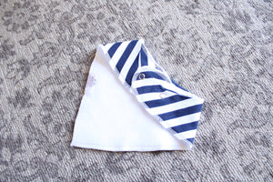 Organic Bandana Bibs - Hudson